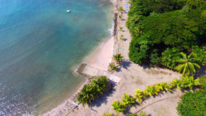 forest view from the beach Villa Caletas