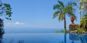 forest view from the swimming pool Villa Caletas