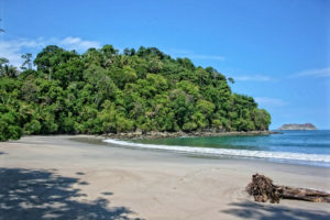 tour a Manuel Antonio from Hotel Villa Caletas